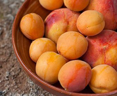 Квітневі заморозки нашкодили врожаю персиків і абрикос